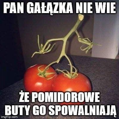 Kultowy Pan gałązka 