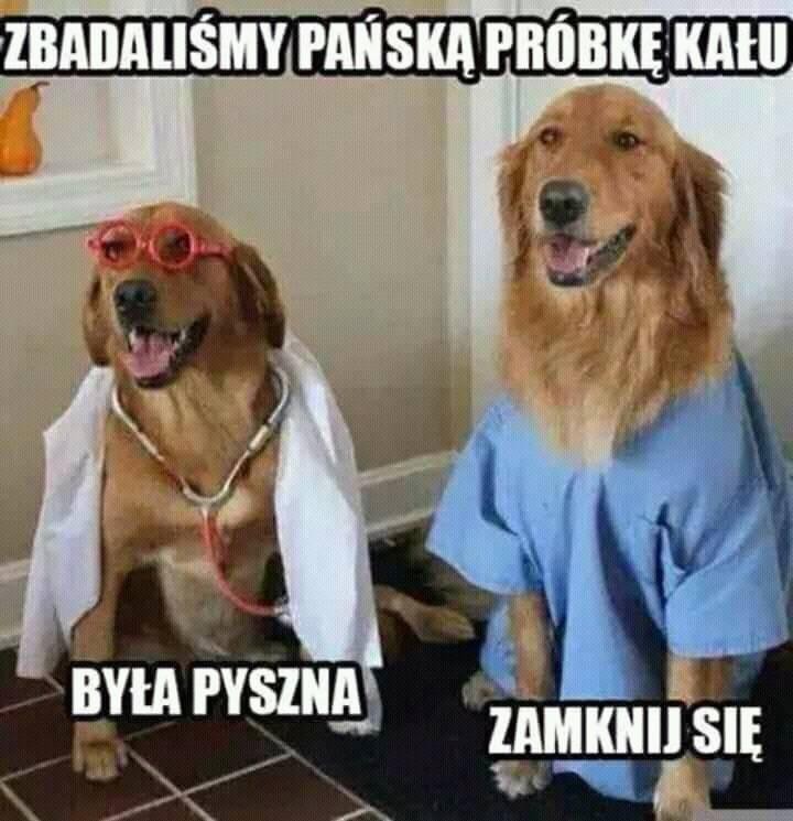 Po badaniu próbki 