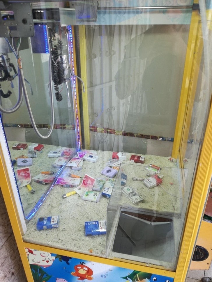 Pazur dla dorosłych